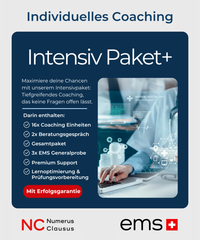 Individuelles Coaching Intensiv Paket Plus